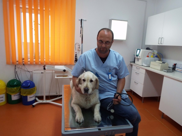 Dr. Bercaru